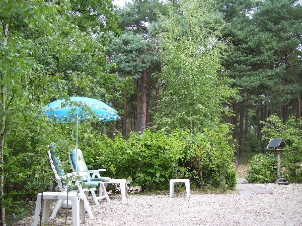 Photo3159-3